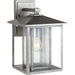 Myhouse Lighting Generation Lighting - 88027-57 - One Light Outdoor Wall Lantern - Hunnington - Weathered Pewter