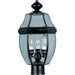 Myhouse Lighting Maxim - 6097CLBU - Three Light Outdoor Pole/Post Lantern - South Park - Burnished