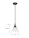 Myhouse Lighting Nuvo Lighting - 60-5503 - One Light Pendant - Vintage - Rustic Bronze