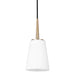 Myhouse Lighting Generation Lighting - 6140401-848 - One Light Mini-Pendant - Driscoll - Satin Brass