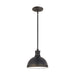 Myhouse Lighting Generation Lighting - 65085-715 - One Light Pendant - Pratt Street Metal - Autumn Bronze