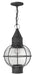 Myhouse Lighting Hinkley - 2202DZ - LED Hanging Lantern - Cape Cod - Aged Zinc