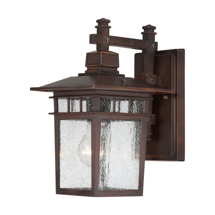Cove Neck One Light Wall Lantern in Rustic Bronze