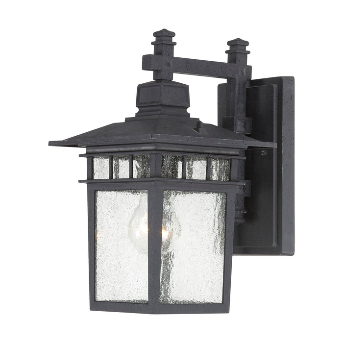 Cove Neck One Light Wall Lantern in Textured Black