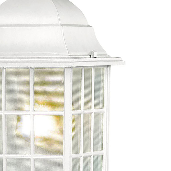 Adams One Light Hanging Lantern in White