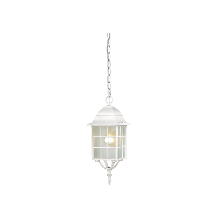 Adams One Light Hanging Lantern in White