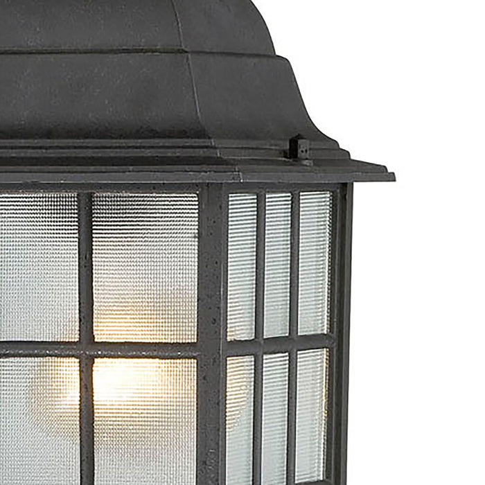 Adams One Light Hanging Lantern in Textured Black