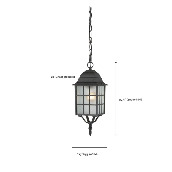 Adams One Light Hanging Lantern in Textured Black