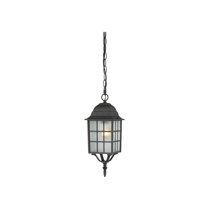 Adams One Light Hanging Lantern in Textured Black