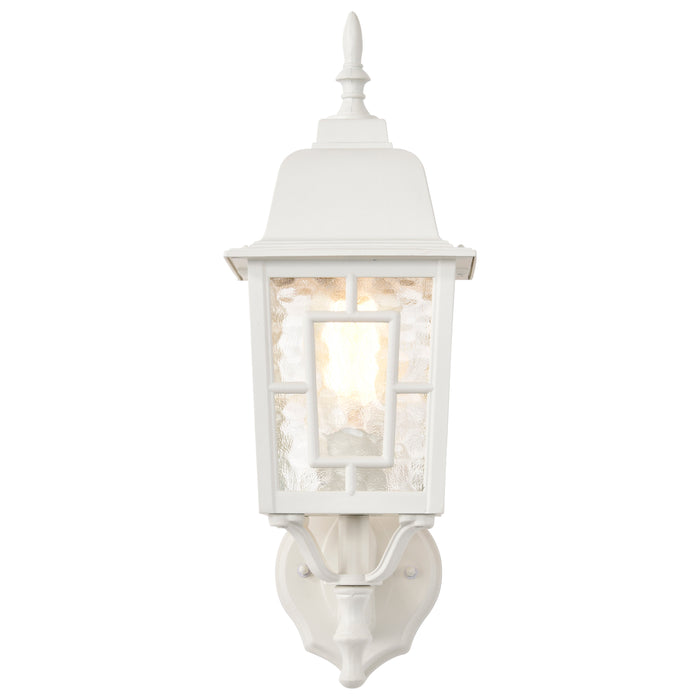 Banyan One Light Wall Lantern in White