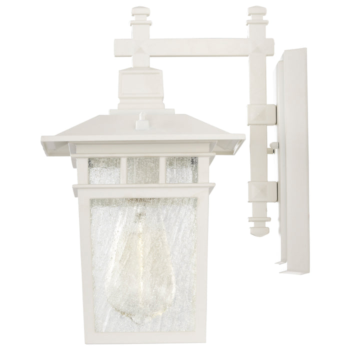 Cove Neck One Light Wall Lantern in White