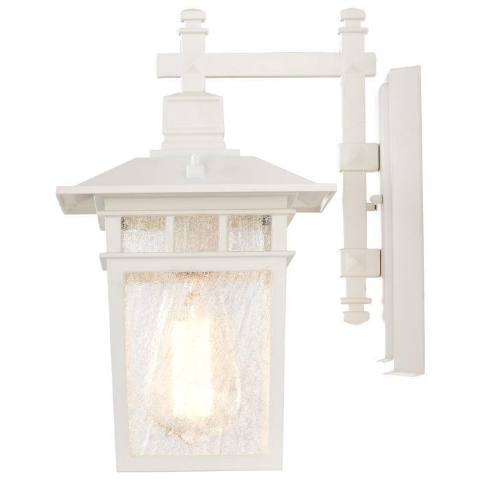 Cove Neck One Light Wall Lantern in White