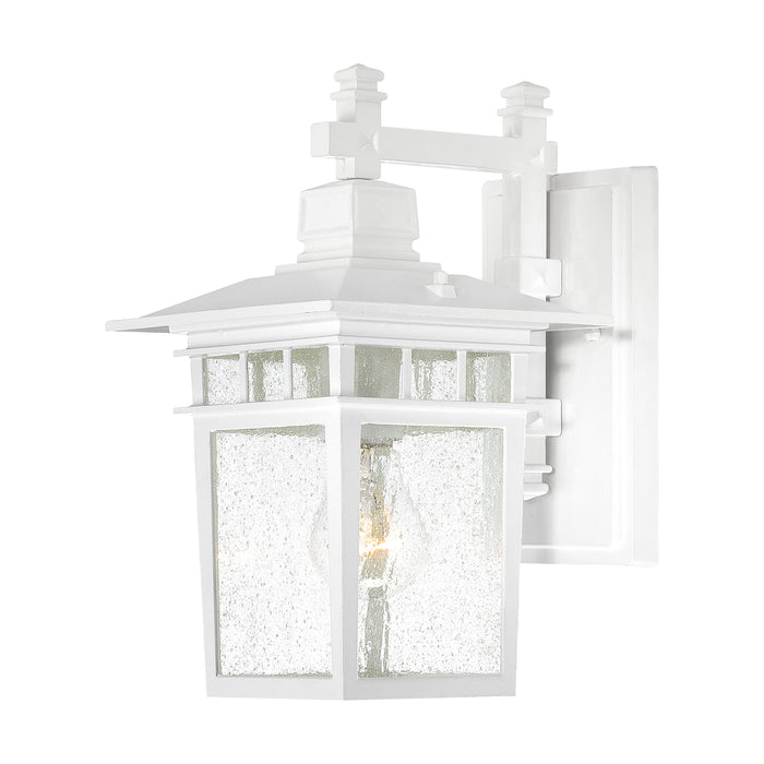 Cove Neck One Light Wall Lantern in White