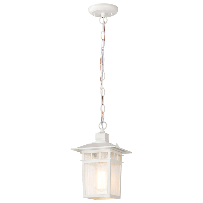 Cove Neck One Light Hanging Lantern in White