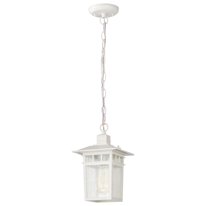 Cove Neck One Light Hanging Lantern in White