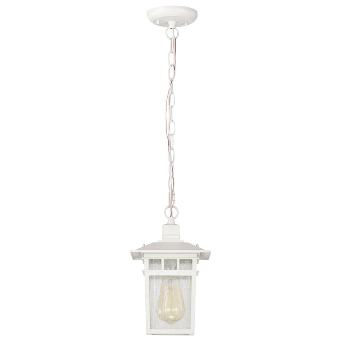 Cove Neck One Light Hanging Lantern in White