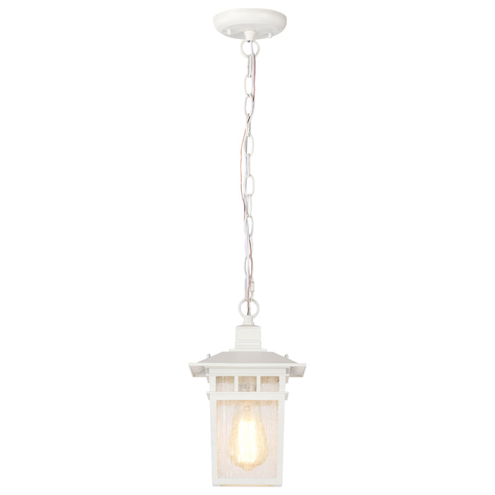 Cove Neck One Light Hanging Lantern in White