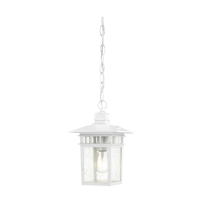 Cove Neck One Light Hanging Lantern in White