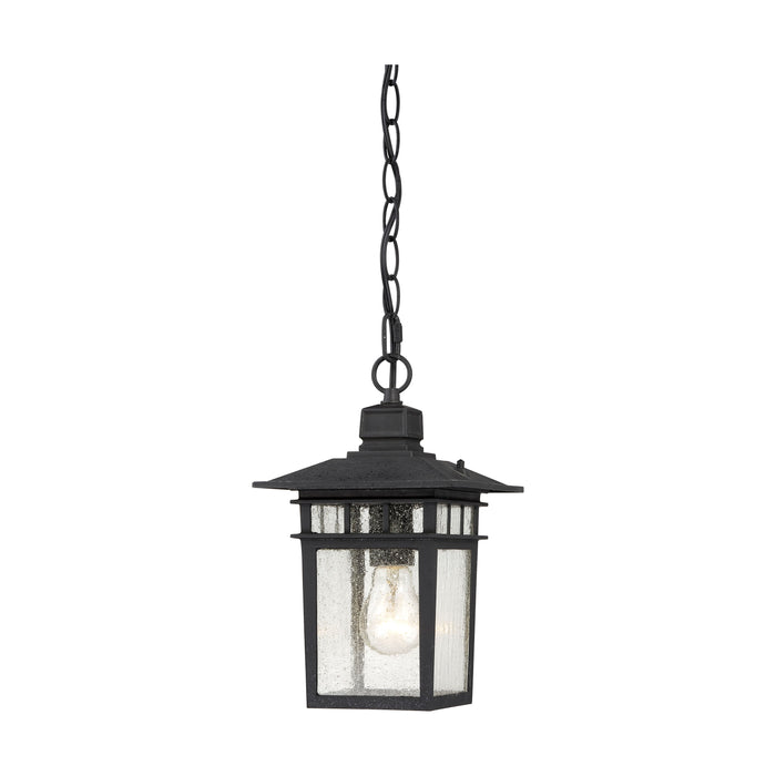 Cove Neck One Light Hanging Lantern in Textured Black