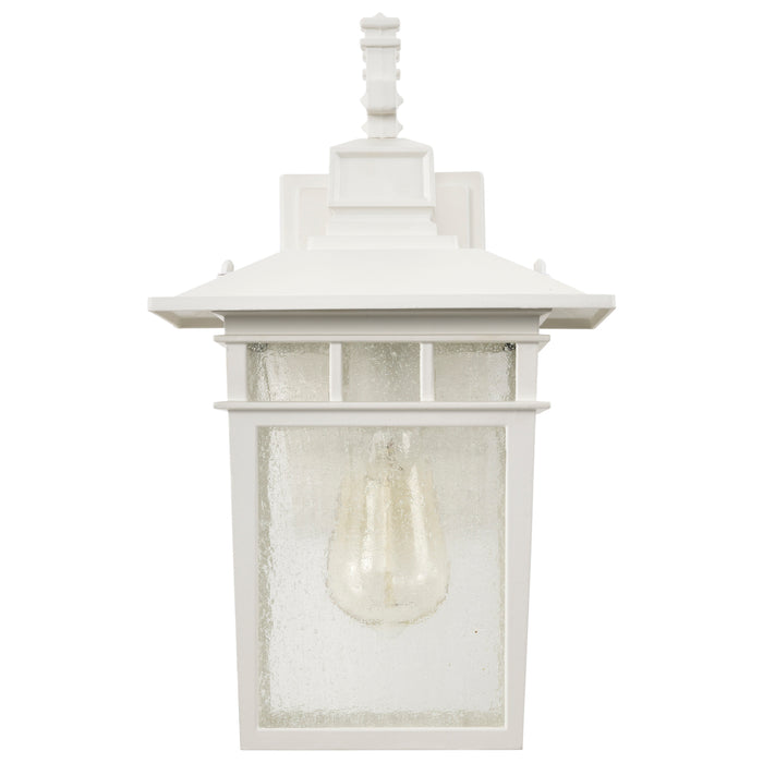 Cove Neck One Light Wall Lantern in White / Clear Seeded