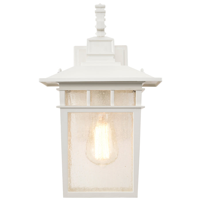 Cove Neck One Light Wall Lantern in White / Clear Seeded