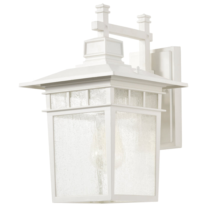 Cove Neck One Light Wall Lantern in White / Clear Seeded