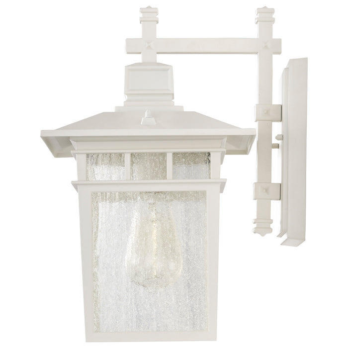 Cove Neck One Light Wall Lantern in White / Clear Seeded