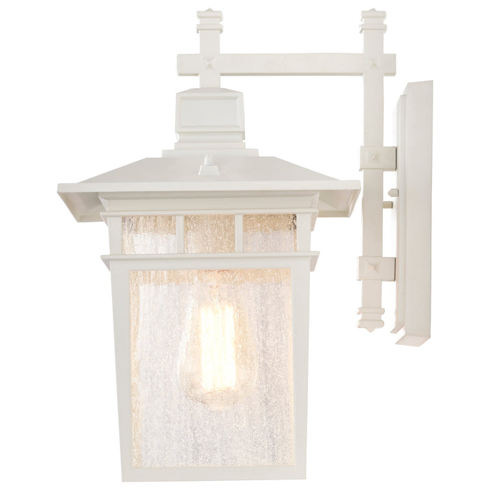 Cove Neck One Light Wall Lantern in White / Clear Seeded