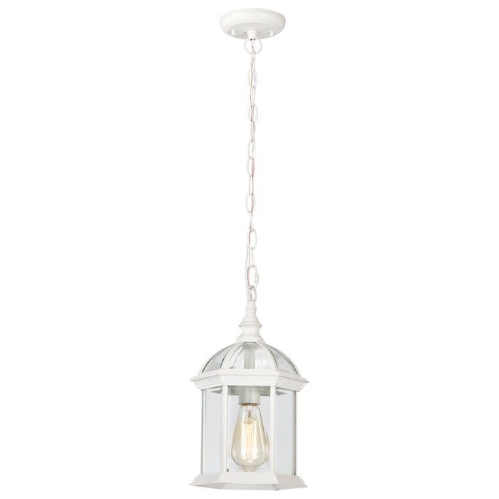 Boxwood One Light Hanging Lantern in White