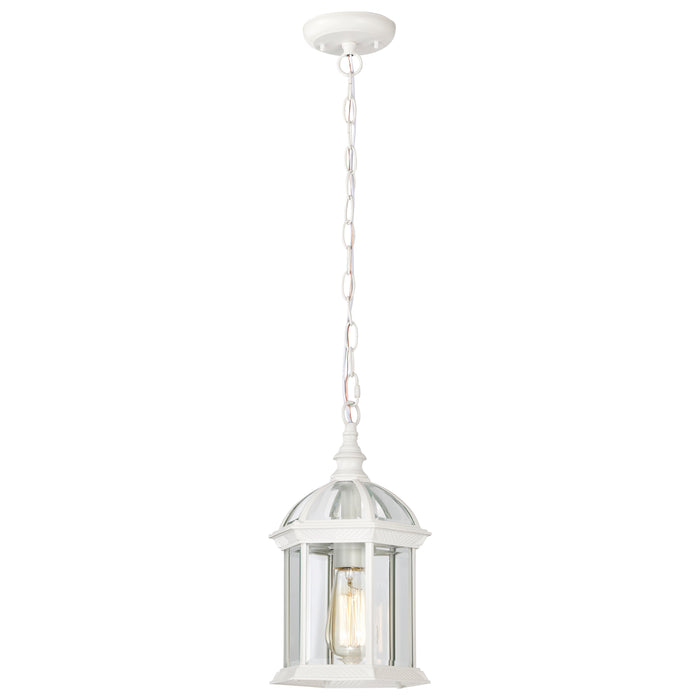 Boxwood One Light Hanging Lantern in White