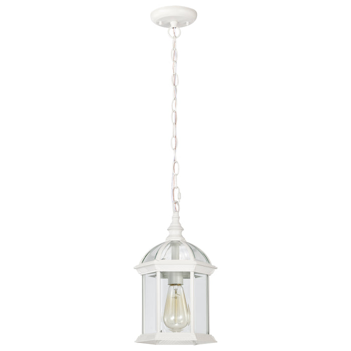 Boxwood One Light Hanging Lantern in White