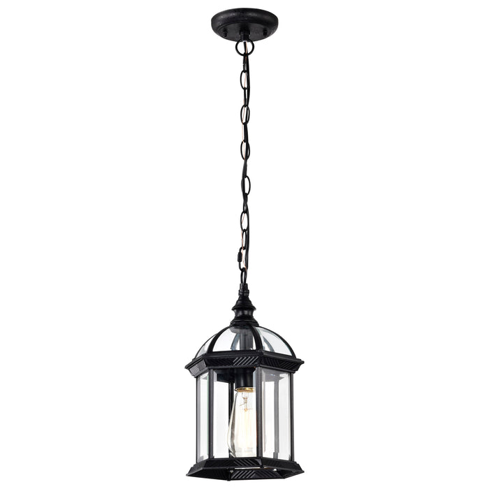 Boxwood One Light Hanging Lantern in Textured Black