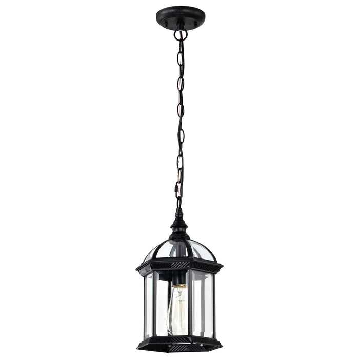 Boxwood One Light Hanging Lantern in Textured Black