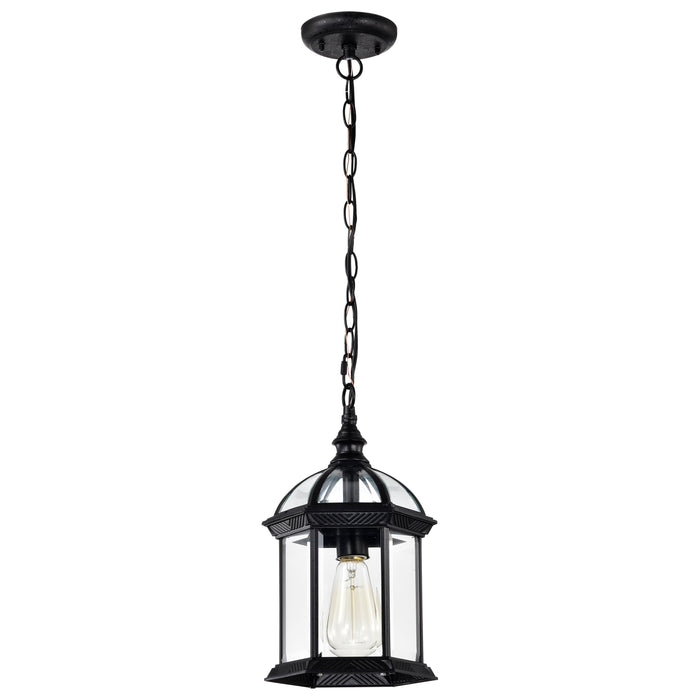 Boxwood One Light Hanging Lantern in Textured Black