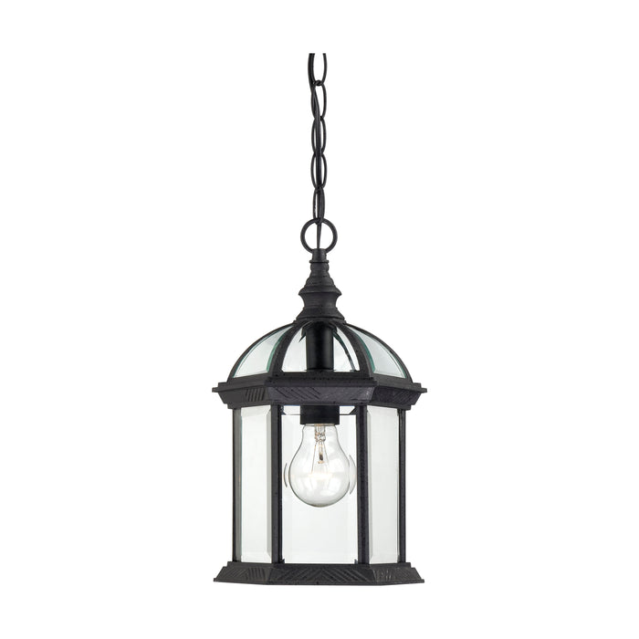 Boxwood One Light Hanging Lantern in Textured Black