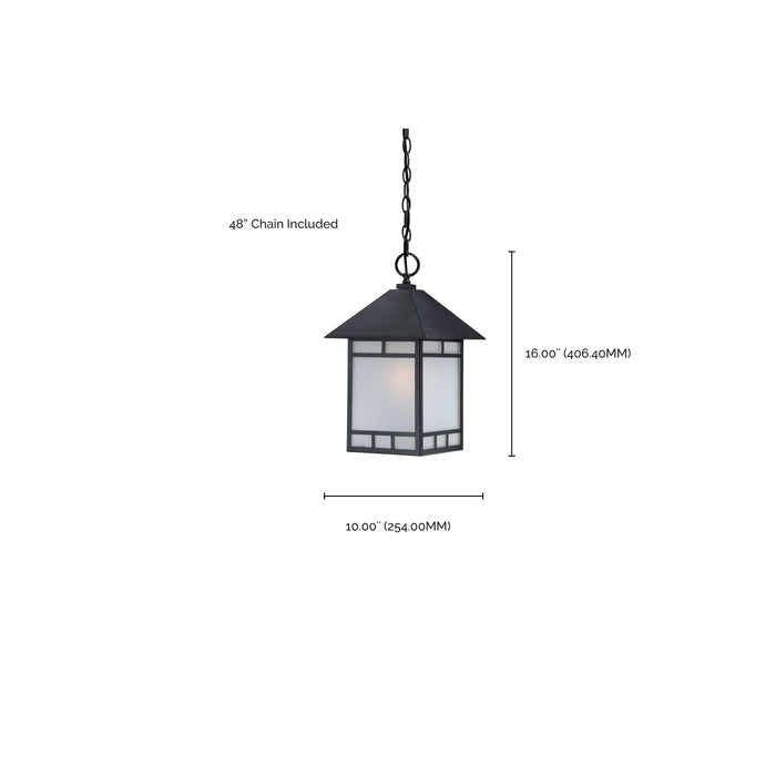 Drexel One Light Hanging Lantern in Stone Black