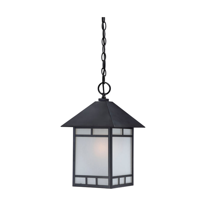 Drexel One Light Hanging Lantern in Stone Black