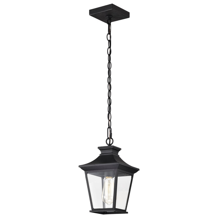 Jasper One Light Outdoor Hanging Lantern in Matte Black