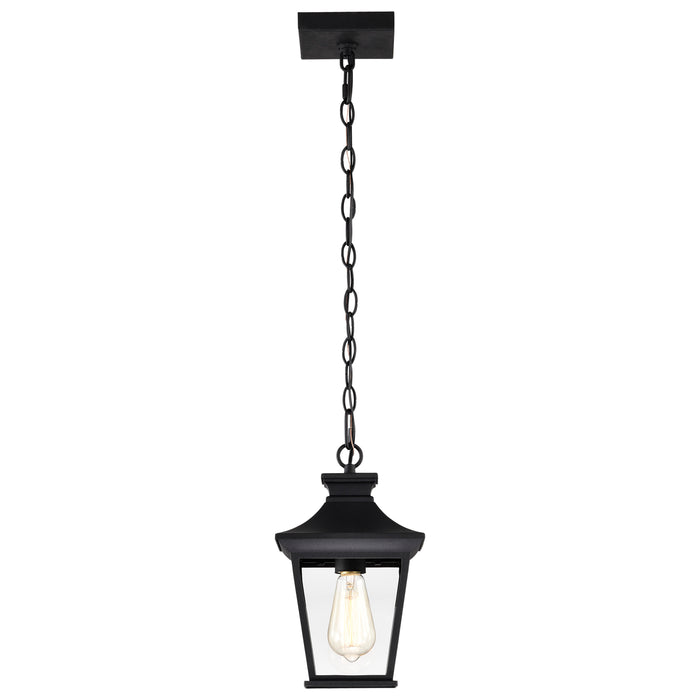 Jasper One Light Outdoor Hanging Lantern in Matte Black