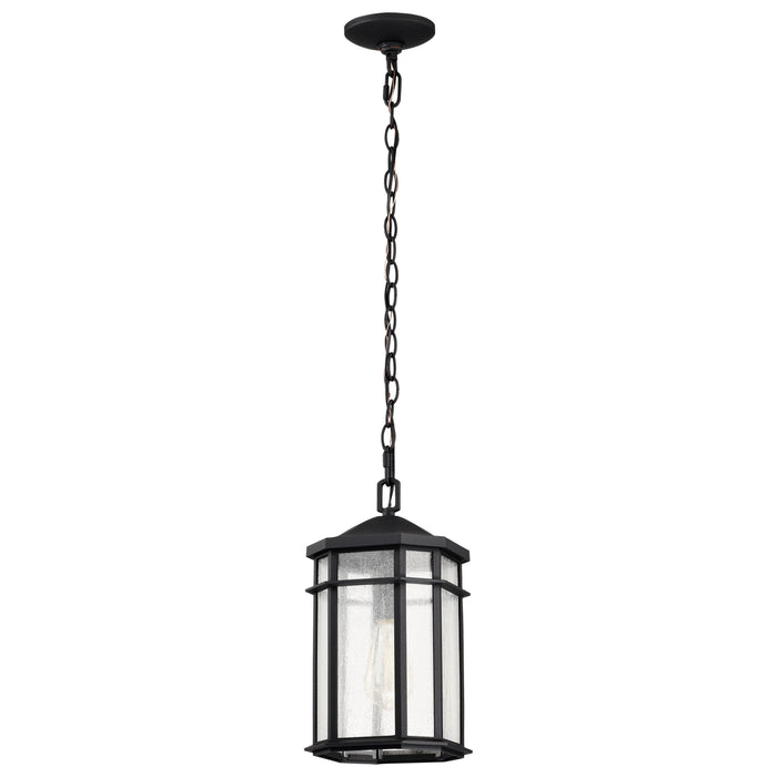 Raiden One Light Outdoor Hanging Lantern in Matte Black