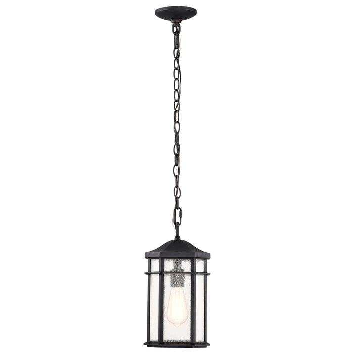 Raiden One Light Outdoor Hanging Lantern in Matte Black