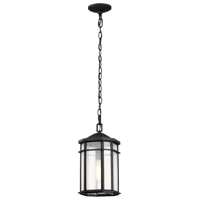 Raiden One Light Outdoor Hanging Lantern in Matte Black