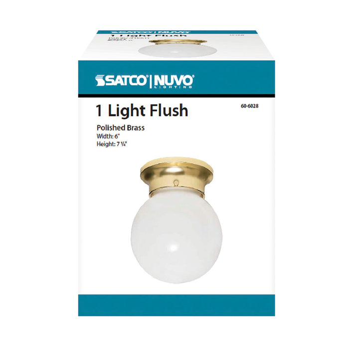 One Light Flush Mount in Polished Brass