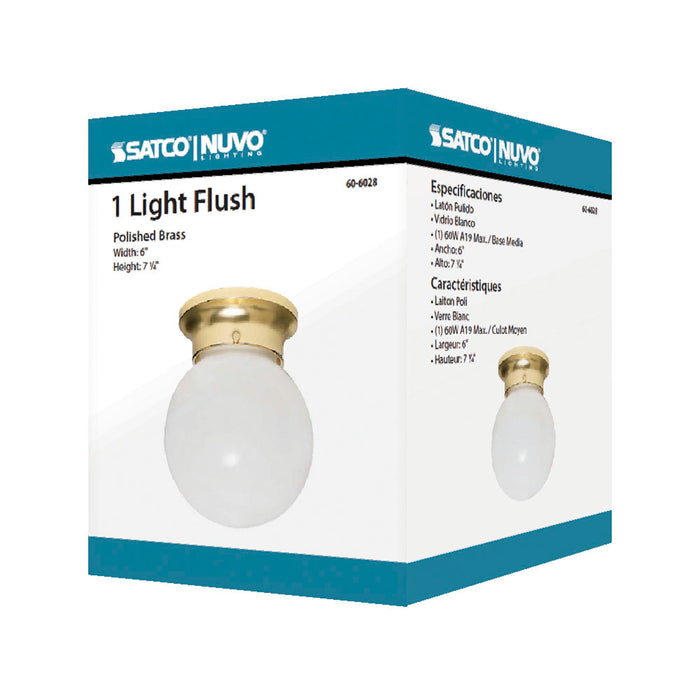 One Light Flush Mount in Polished Brass