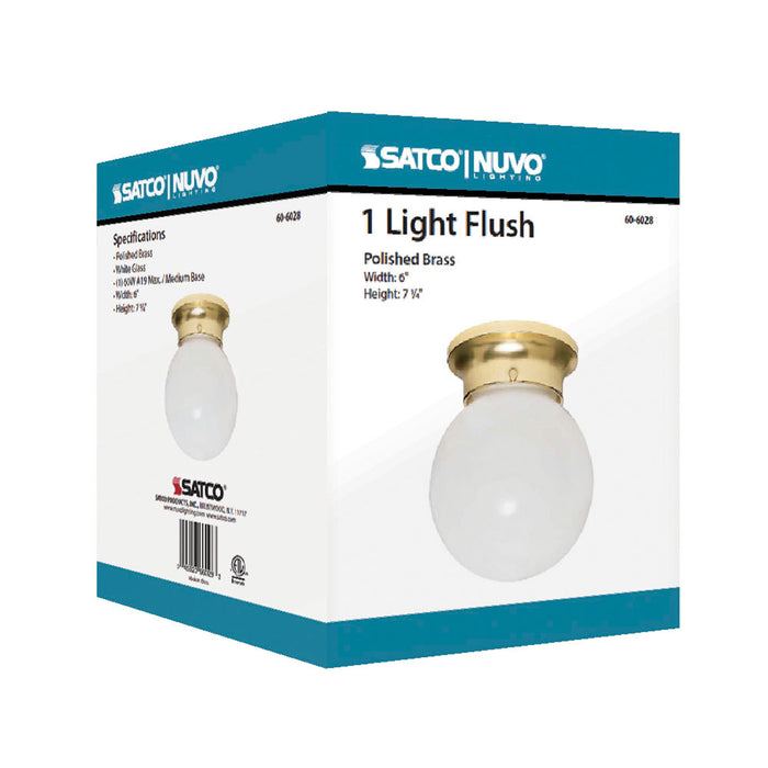 One Light Flush Mount in Polished Brass