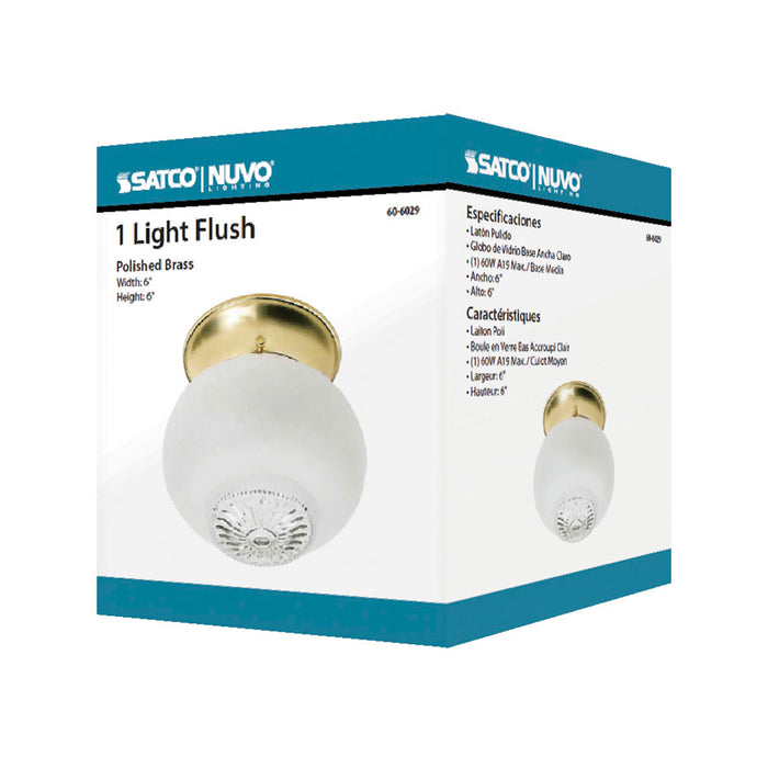 One Light Flush Mount in Polished Brass