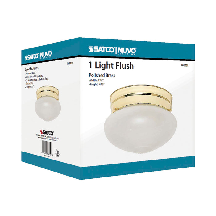 One Light Flush Mount in Polished Brass