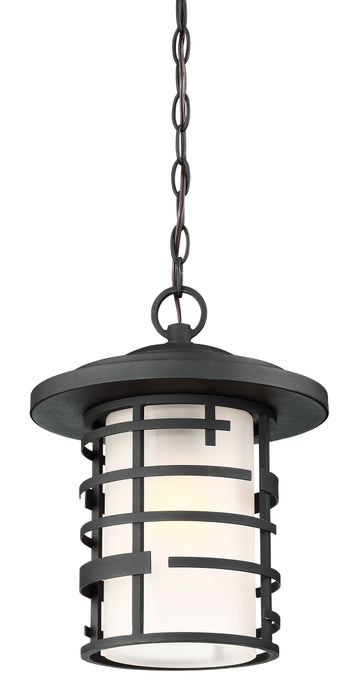 Lansing One Light Hanging Lantern in Textured Black
