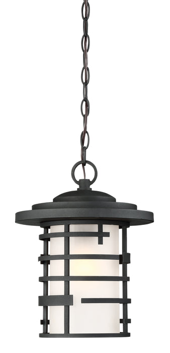 Lansing One Light Hanging Lantern in Textured Black