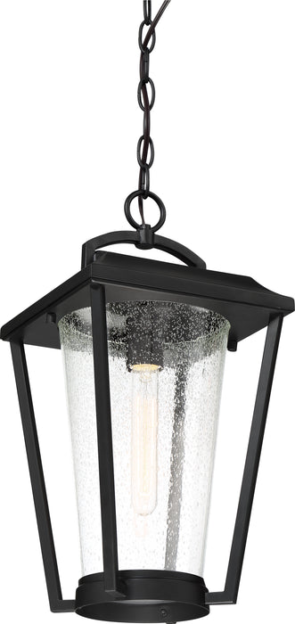 Lakeview One Light Hanging Lantern in Aged Bronze / Clear